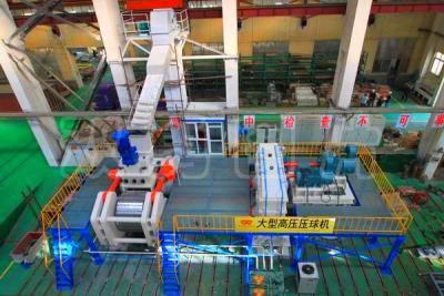 China Kalte/heiße Metallurgie-Maschinen-und Ball-Presse-Maschine der Brikett-Maschinen-100TPH zu verkaufen