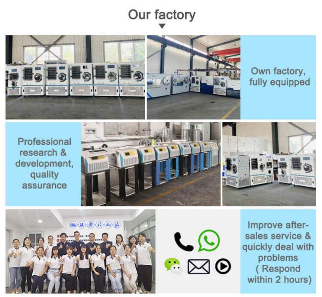 freeze dryer factory