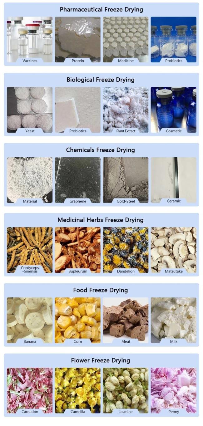 pharmaceutical freeze dryer