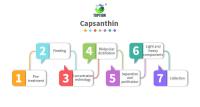 Quality Capsanthin Extraction Wiped Film Evaporator Short Range Molecular Distillation for sale