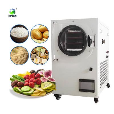 China TOPTION Secadores congelados caseiros Máquina de secagem congelada de alimentos 220V à venda