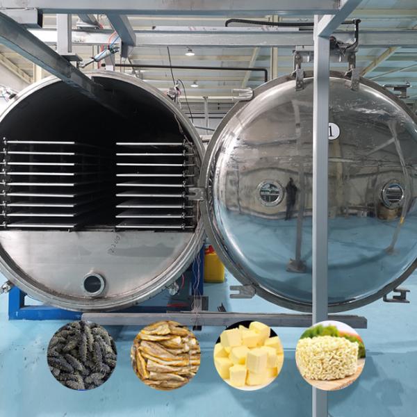 Quality Vegetables Food Vacuum Freeze Dryer SS Freeze Drying Equipment for sale