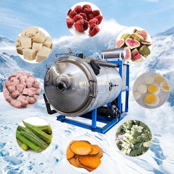 Quality Vegetables Food Vacuum Freeze Dryer SS Freeze Drying Equipment for sale