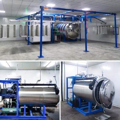 Quality Vegetables Food Vacuum Freeze Dryer SS Freeze Drying Equipment for sale