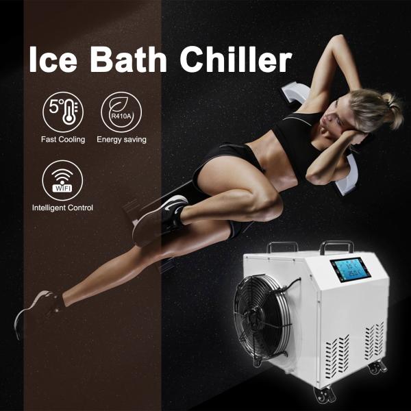 Quality TOPTION High Performance Cooling Ice Bath Tub Digital Display Type for sale