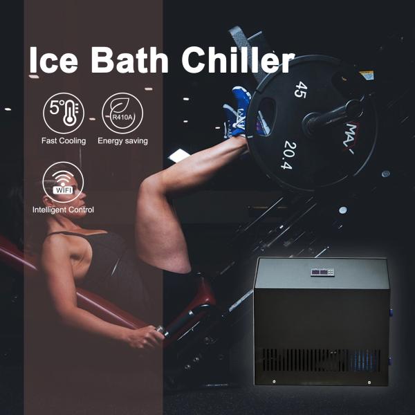 Quality TOPTION High Performance Cooling Ice Bath Tub Digital Display Type for sale