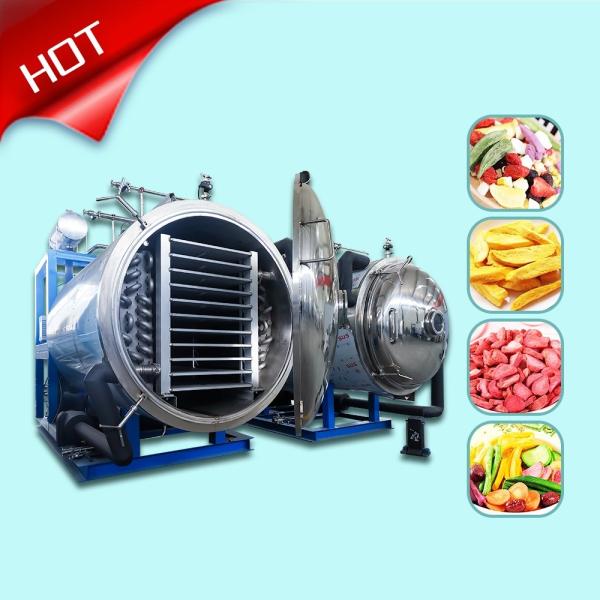 Quality High Performance Automatic Defrosting Freeze Dryer 100kg Capacity LG-10 for sale