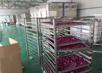 China Circulation Vacuum Tray Dryer  For Pharma , 24-216 Trays Flower Drying Machine for sale