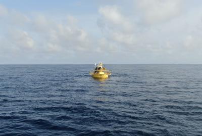 China Marine Mammal China Monitoring Buoys Water Quality Observation for sale
