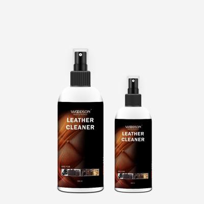 China Antifungus Disinfectant Leather Shoe Care Kit Protector Spray 300ml for sale