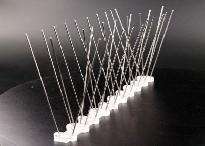 China High Quality Plastic Control Bird Spikes On Sale for sale