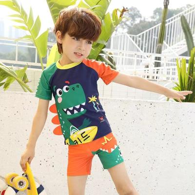 China Boy Swimming Trunks Dinosaur Suit Boy Split Swimming Suit With Hat for sale
