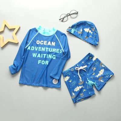 Chine Les grands vêtements de bain bleus dédoublés de garçon placent la copie conservatrice de carton de maillot de bain du garçon 3pcs de requin à vendre