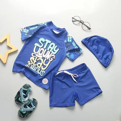 China Carton Picture Boys Swimwear Sets Nylon Split Boys Swimming Suit With Hat UPF50++ for sale
