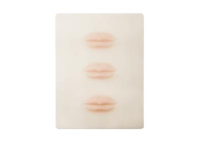 Китай макияж губы 53.6g 3D постоянный практикует кожу 19.1*14.2*0.15cm продается