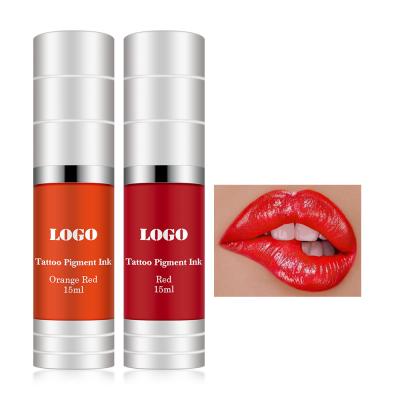 China Vacuum Bottle Permanent Makeup Pigments Eyebrow Eyeliner Lip Blush Tattoo Inks for sale