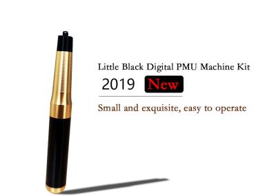 China Digital Panel Permanent Tattoo Machine Kit Eyebrow Bleaching Lip Eyeliner Tattoo PMU And MTS for sale