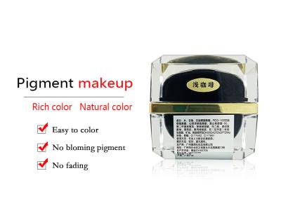 China Wasserdichte Augenbrauen-Tätowierungs-Tinte eingestellte halb dauerhafte Tätowierungs-Farbton-Haut freundlich und glatt zu verkaufen