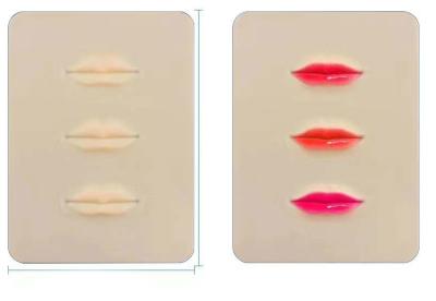 China PMU Permanent Makeup Rubber 3D Lips Practice Skin Tattoo Mat To Practice Perfect Eyebrow for sale
