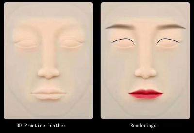 Chine Les matériaux en caoutchouc de pratique tatouent le sourcil découpant le maquillage permanent vide en cuir du silicone 3D de lèvres pour la formation de l'UGP à vendre