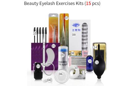 China Mink Eyelash Extension Storage Kit Set Tweezers Glue Mascara Brush Tape Packaging Form Cleanser Patches Wholesale for sale