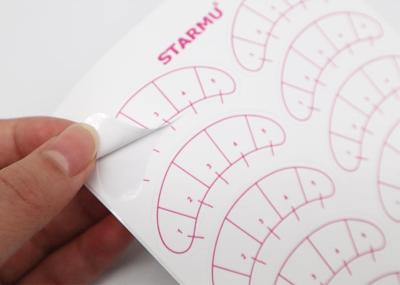 China Transplantando cinco pontos sob a composição da prática de Lash Map Stickers For Beginner da etiqueta da extensão da pestana do olho à venda