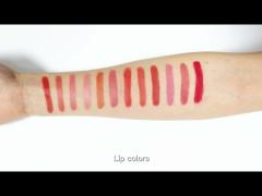 OEM 6ML Liquid Permanent Makeup Pigment Eyebrow Cosmetics Tattoo Lip Blush Color