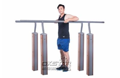 China outdoor fitness equipments WPC materials based double bar with TUV certificates for sale