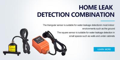 China 10000hz Mains Water Leak Detection System PQWT L50 Smartthings Water Leak Sensor for sale