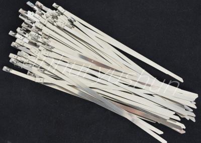 China cintas plásticas inoxidáveis de aço resistentes de 200mm as 316 personalizaram à venda