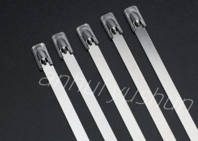 China tipo inoxidable de la hebilla de la atadura de cables del paquete SS316 de 100m m en venta