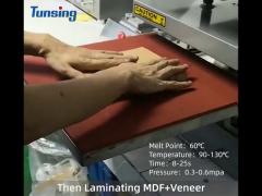 DS8610 Hot Melt Adhesive Film for Bonding MDF+Veneer
