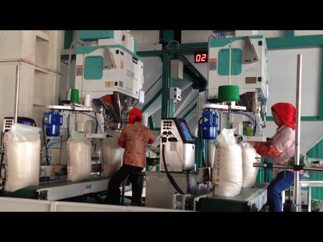 20kg 0.5MPa Rice Packing Machine High Speed Packaging Equipment 16.7L/ Min
