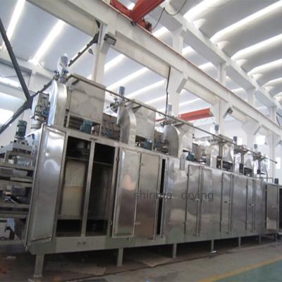 Chine Convoyeur continu Mesh Belt Electric Copra Dryer 500kg/H électrique de série de DW à vendre