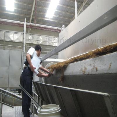 China Automatic Steam Heating Conveyor Belt Dryer Seaweed Belt Dryer Conveyor for sale