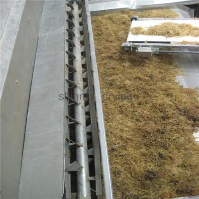 China DW Conveyor Belt Dryer Fruit Dehydrator Machine Plant 120 To 300kg/H for sale