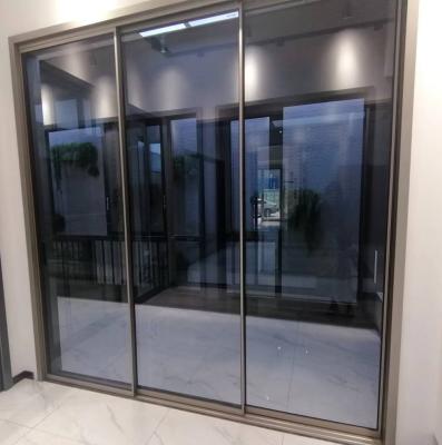 China Narrow Frame Slim Aluminum Slide Door Heat Resistant Exterior Sliding Door for sale