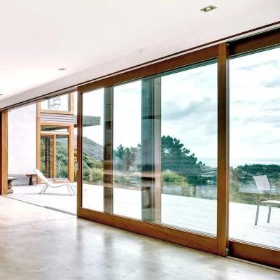 China Impact T5 Aluminum Frame Double Glass Sliding Door With Top Accessories for sale