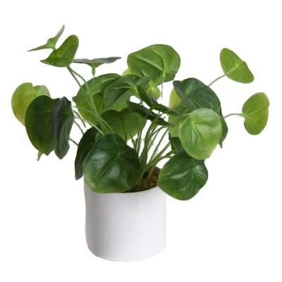 China Small Potted Plants Fuyuan Plants Leaves Eco-friendly Artificial Decorative Plastic Mini Bonsai Duckweed For Home Decoration for sale