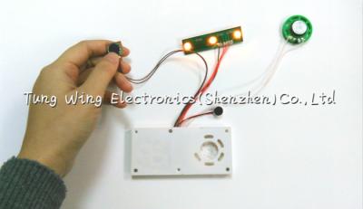China Twinkling Lights Flashing Toy Sound Module , Flashing recordable voice chip for sale