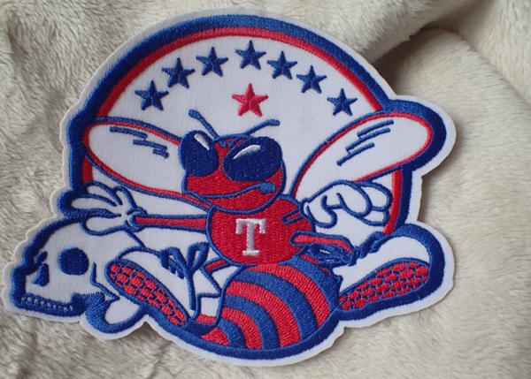 3D Washable Custom Embroidery Heat Transfer Patch For Ski-Wear