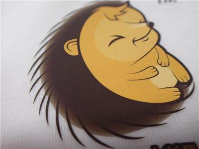 China Cartoon Pattern Silk  Screen Heat Transfer Wash Labels For Garment Or Bags for sale