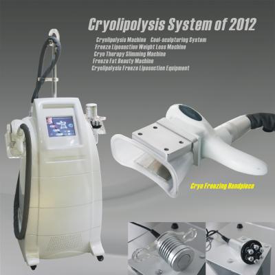 China Cool Sculpting Zeltiq Cryolipolysis Machine For Home Use / Salon Beauty for sale