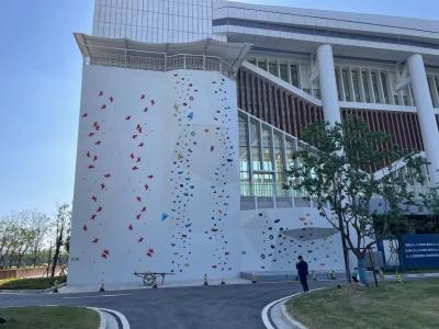 China Parede personalizada exterior de escalada da parede da velocidade do parque temático que escala para adultos à venda