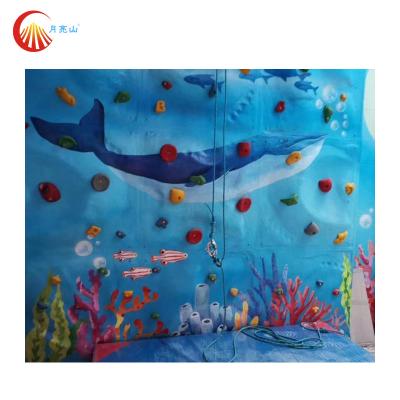 China Gym Playground Professional Indoor Rock Climbing Multicoloured Custom For Adults for sale
