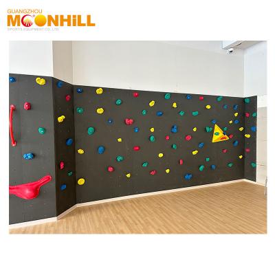 China Kids Zone Rock Climbing Wall Equipment Elegant Indoor Bouldering Wall CE ROHS for sale
