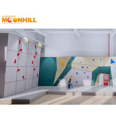 China Colorful Training Climbing Wall Kids Indoor Rock Climbing Panels High Strength for sale