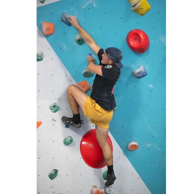 China Eco Friendly Rock Climbing Holds For Kids Indoor Outdoor Panel for sale