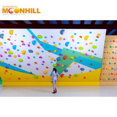China High Durability Rock Climbing Wall Customizable Easy To Install for sale