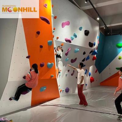 China Durable And Easy Installation Outdoor Climbing Wall With CE Certification Te koop